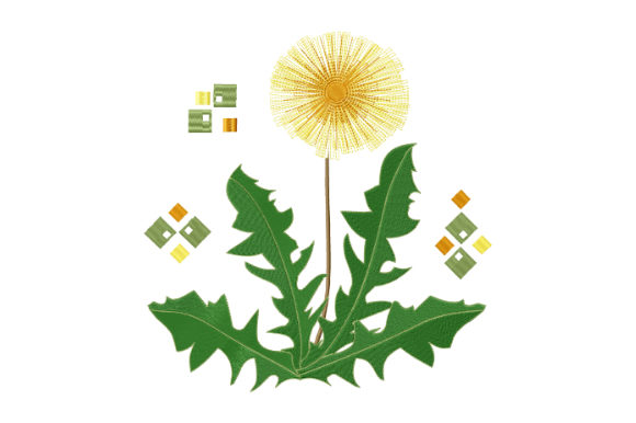 Spring Yellow Dandelion